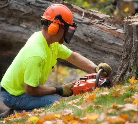 tree services Rosman